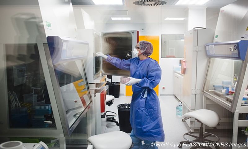 L’IGMM à l’origine d’une avancée majeure dans le traitement de la rectocolite hémorragique !