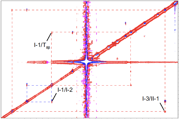 Une nouvelle signature lipidique de Mycobacterium abscessus (Nature Communications, 2025)