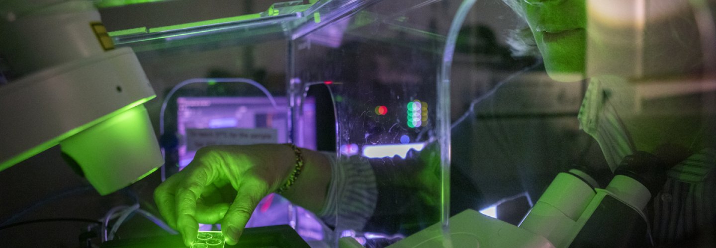 La mutation du gène TRIO et ses conséquences sur le développement des troubles neurologiques